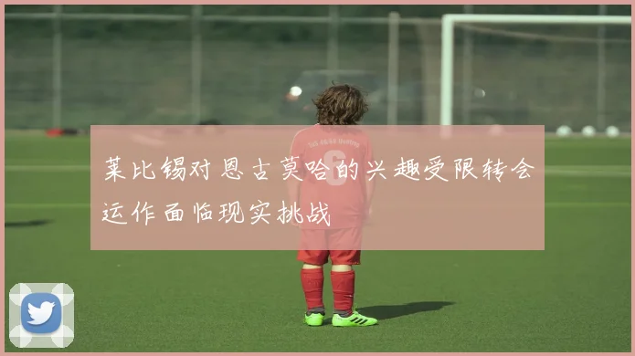 莱比锡对恩古莫哈的兴趣受限转会运作面临现实挑战